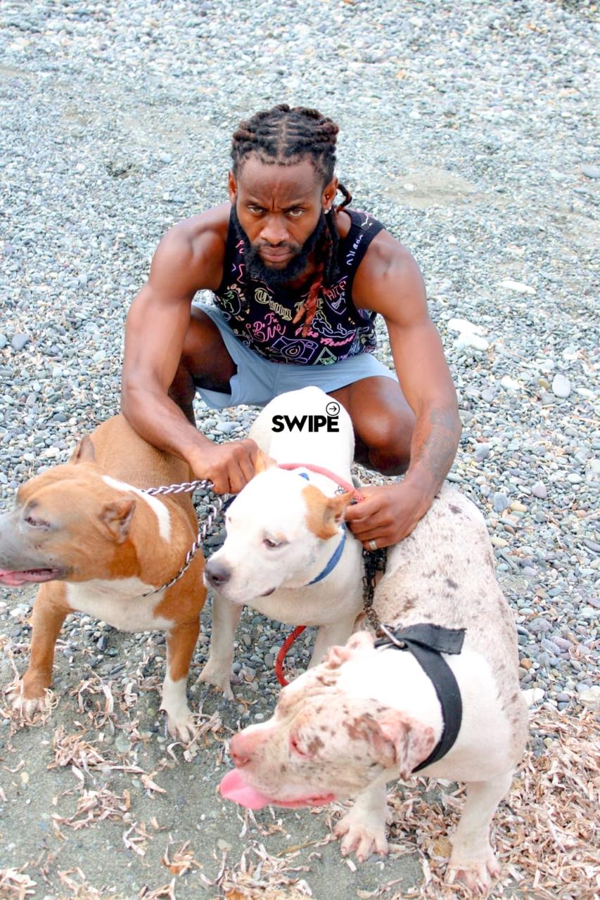 Apunik Kennel dogs