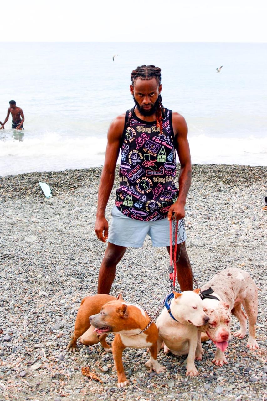 Apunik Kennel dogs